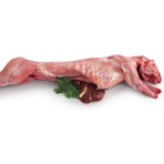 Κουνέλι Νωπό Εγχώριο