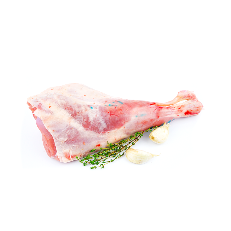 ΜΠΟΥΤΑΚΙ ΜΕ ΚΟΚΑΛΟ ΑΠΟ ΚΑΤΣΙΚΙ ΝΩΠΟ ΕΓΧΩΡΙΟ