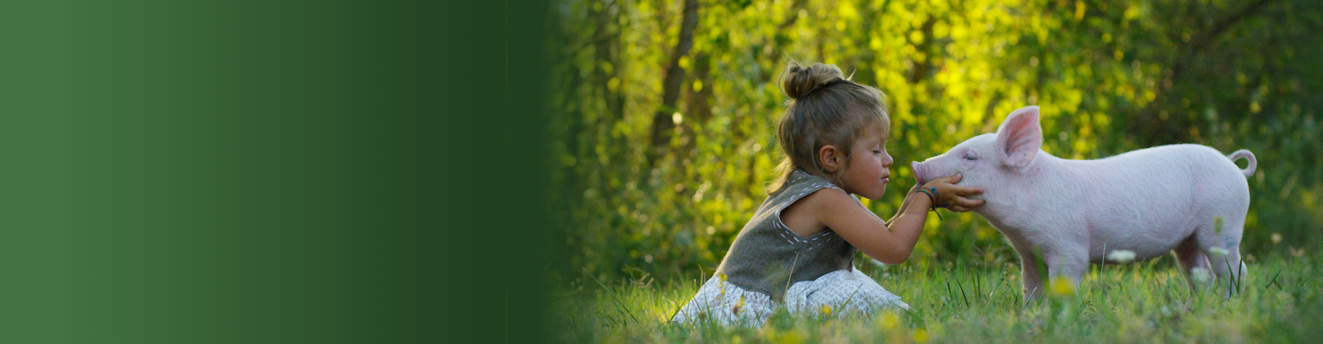 BLACK ANGEL ΧΟΙΡΙΝΟ